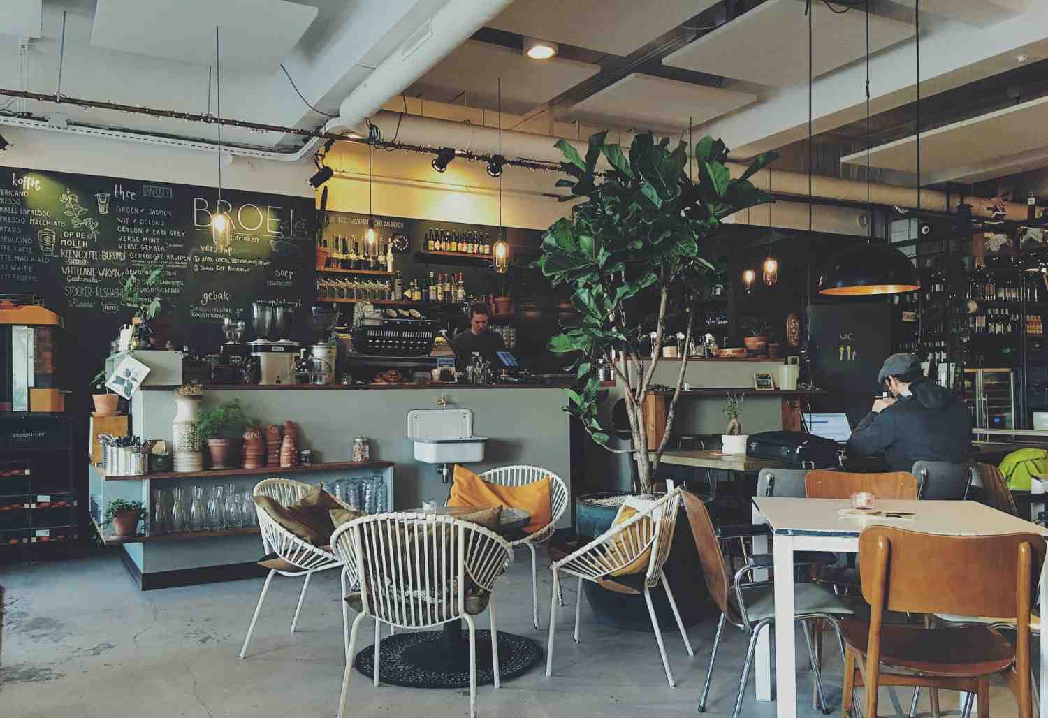 Plant-based café Aurora